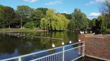 Water Birds are Swimming in the Lake Water of Local Public Park of Luton England Great Britain on a hot Day of Summer 2022, Drone's Camera Footage.