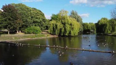 Water Birds are Swimming in the Lake Water of Local Public Park of Luton England Great Britain on a hot Day of Summer 2022, Drone's Camera Footage.
