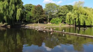 Water Birds are Swimming in the Lake Water of Local Public Park of Luton England Great Britain on a hot Day of Summer 2022, Drone's Camera Footage.