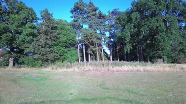 Beautiful View Stockwood Park Luton Free Access Public Park Golf — Stockvideo