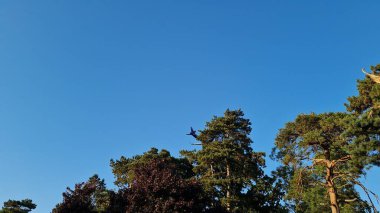 an Airplane is preparing to Land at London Luton Airport, Lower Altitude level Flight