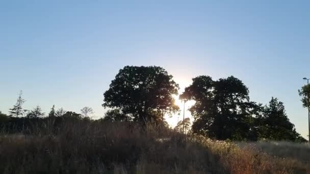 Beautiful View Stockwood Park Luton Free Access Public Park Golf — 비디오