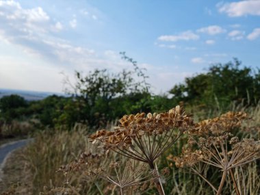 Dramatic Clouds and Sky at Dunstable Downs of England UK