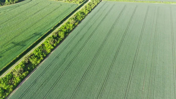 Aerial View of Countryside Landscape of England Fimi 