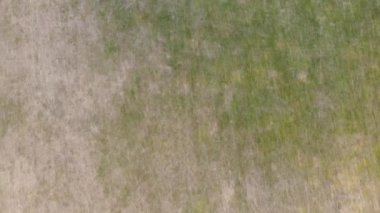 Aerial View of British Agricultural Farms at Dunstable Downs, England 