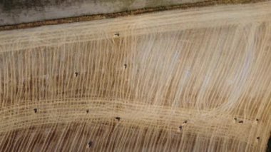 Aerial View of British Agricultural Farms at Dunstable Downs, England 