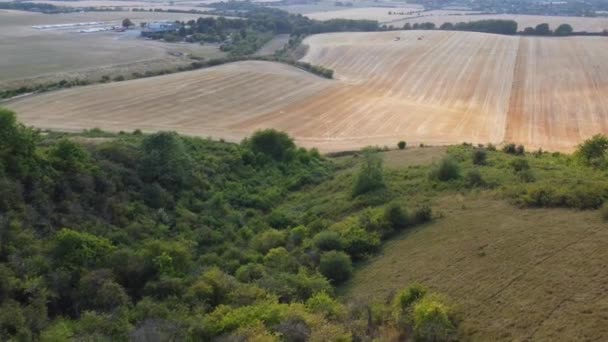 Vista Aérea Das Fazendas Agrícolas Britânicas Dunstable Downs Inglaterra — Vídeo de Stock