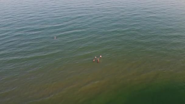 Beautiful Aerial View Sea View Sandy Beach Bournemouth City England — Stockvideo