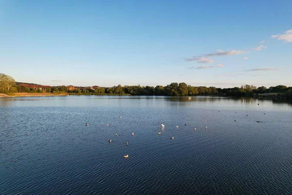 Piękne Słodkie Ptaki Wodne Nad Jeziorem Anglii — Zdjęcie stockowe