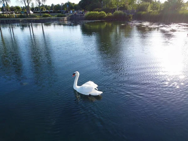 High Angle Footage of Willen Lake, Water Sports and Public Park of England. which is located at Milton Keynes, England.+ People are Enjoying at Lake on a Hot Sunny Day of Summer. Video Clip Captured on 21-Aug-2022. Beautiful Aerial Drone's Footage.