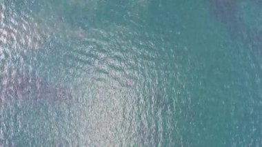 High Angle Footage of Willen Lake, Water Sports and Public Park of England. Beautiful Aerial Drone's Camera  Footage of Willen Lake and Park which is located at Milton Keynes, England.