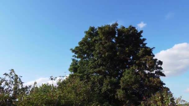 Krásná Letecká Prohlídka Města Luton Anglii Letecké Záběry Drone — Stock video