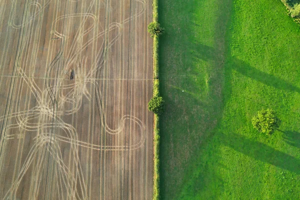 High Angle Footage Aerial View Harvesting Crops Farm View Sunny — Stockfoto