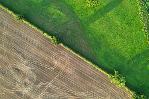 High Angle Footage Aerial View Harvesting Crops Farm View Sunny — Fotografia de Stock