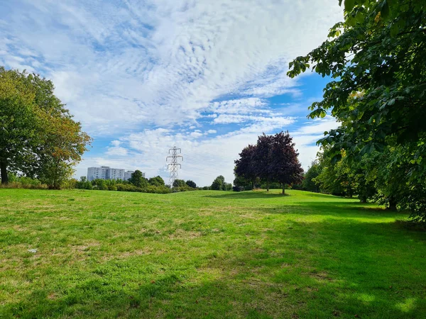 Prachtig Uitzicht Bomen Het Lokale Park — Stockfoto