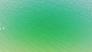 ENGLAND, BOURNEMOUTH - 18 AĞUSTOS 2022: Güzel Yüksek Açılı İnsanlar Sahilde Yüzüyor. Drone 'un görüntüsü İngiltere' nin en sıcak gününde çekildi.. 