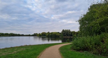 İngiltere Gölü 'nde Güzel ve Sevimli Su Kuşları