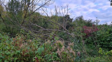 İngiltere, İngiltere, İngiltere, MILTON KEYNES - 21 Eylül 2022: Caldecotte Gölü ve Binalarının Hava Görüntüsü. İngiltere 'de yer alan göl, yolun iki tarafına bölünmüştür: Çevredeki Bar, Restoran ve Oteller.