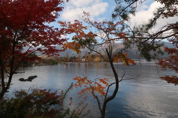 Hermoso Monte Fuji Lago Vista Parque — Foto de Stock