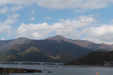 Japonca, TOKYO - 11 Kasım 2022: Tokyo Şehri 'nin Güzel Düşük Açı Görünümü 