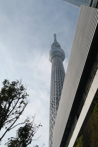 Japonca Tokyo Kasım 2022 Tokyo Şehri Nin Güzel Düşük Açı — Stok fotoğraf