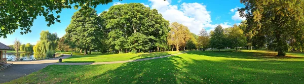 Zielone Rośliny Drzewa Stockwood Park Dzień — Zdjęcie stockowe