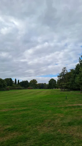 Gröna Växter Och Träd Stockwood Park Dagtid — Stockfoto