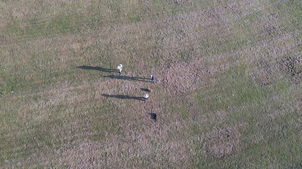 Luchtfoto Van Mensen Het Weitje — Stockfoto