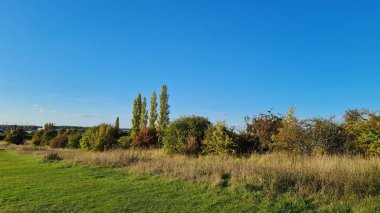 Gorgeous View of British Landscape with Green Trees and Plants