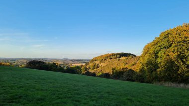 Gorgeous View of British Landscape with Green Trees and Plants