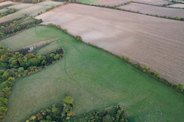 İngiltere 'nin kırsal kesimindeki İngiliz Koyun Çiftliklerinin Yüksek Açılı Manzarası, Günbatımı Saati