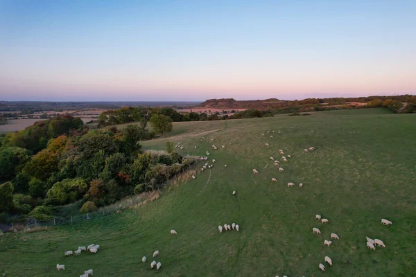 Вид Воздуха Британскую Сельскую Местность Овцеводческие Фермы Английском Городе Хитчин — стоковое фото