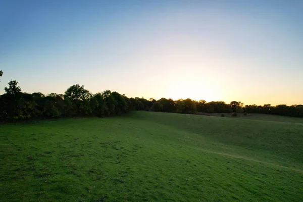 Hög Vinkel Syn Brittiska Fårfarmar Landsbygden England Storbritannien Sunset Time — Stockfoto