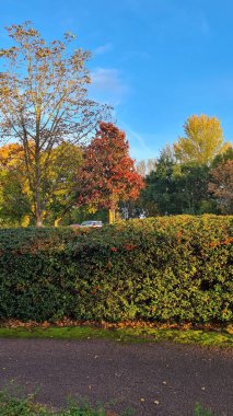 İngiltere 'nin en iyi manzara manzarası İngiltere' nin büyük İngilizleri