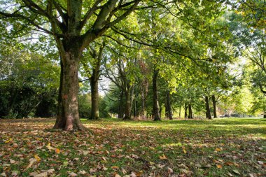 İngiltere 'nin Luton Kasabası' nın en güzel manzara görüntüsü, İHA 'nın İngiltere Yüksek Açılı Kamerası, İngiltere, İngiltere