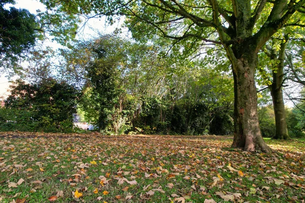 Mooiste Landschapsbeeld Van Luton Town England Drone High Angle Camera — Stockfoto