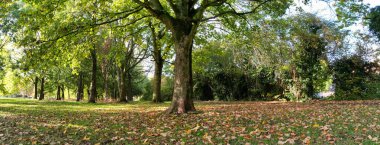 İngiltere 'nin Luton Kasabası' nın en güzel manzara görüntüsü, İHA 'nın İngiltere Yüksek Açılı Kamerası, İngiltere, İngiltere