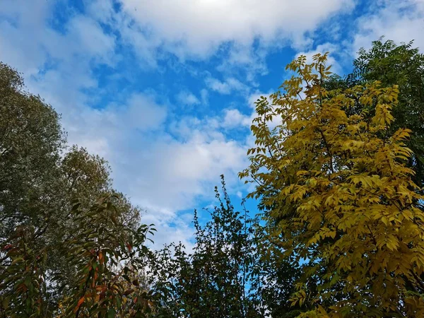 Superbe Vue Aérienne Ciel Coloré Des Nuages Sur Paysage Anglais — Photo
