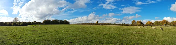 Luftaufnahme Der Britischen Landschaft — Stockfoto