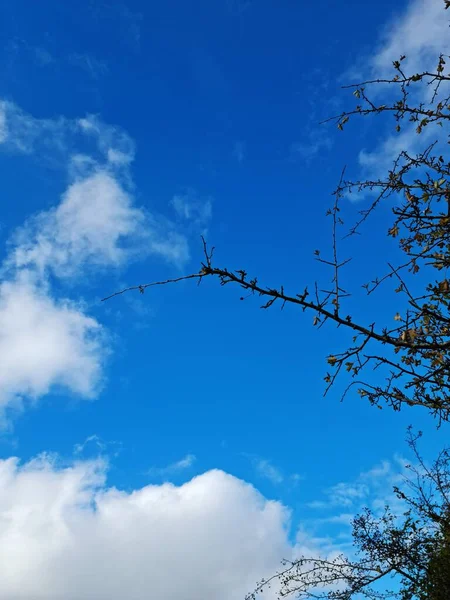 Prachtig Uitzicht Vanuit Lucht Colourful Sky Clouds Het Engelse Landschap — Stockfoto