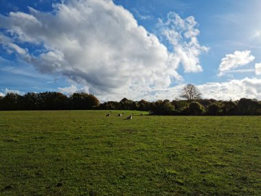 Low Angle View of British Countryside of Sharpenhoe Clappers