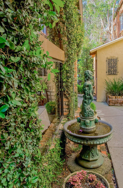 The light in this secret hidden garden light up at just the right time of day when the sun shines down and reflects off the buildings around it to light it