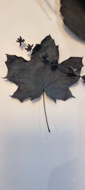 Cadılar Bayramı için kara yaprak