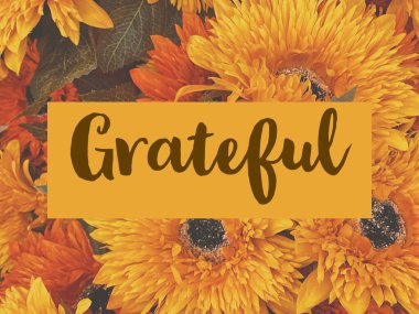 Sonbahar ve Şükran Günü kutlamaları için minnettarlık grafiği.