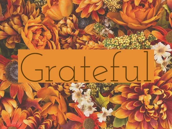 Grateful Graphic Fall Thanksgiving Celebrations — Stok fotoğraf