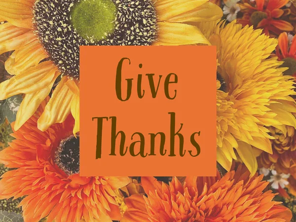 Excellent Give Thanks Graphic Fall Thanksgiving Celebrations — Stock Photo, Image