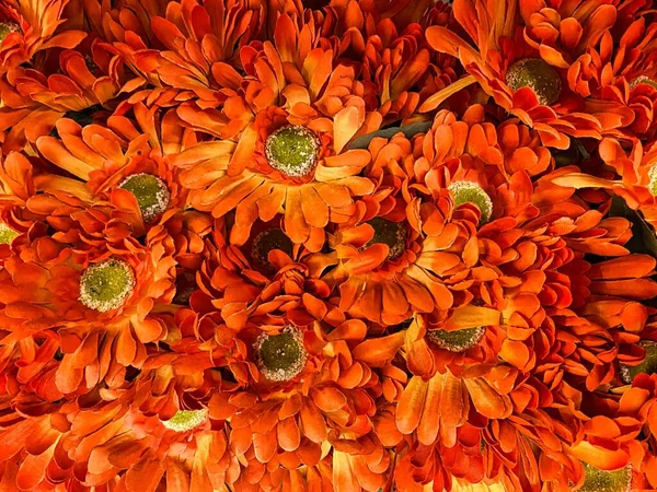 Add Your Own Personal Text Top Daisy Image Great Fall — Stock Photo, Image