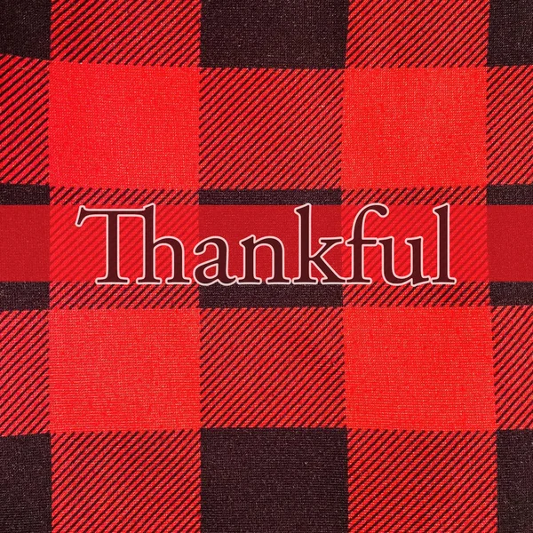 Word Thankful Perfect Wall Art Posting Holiday Graphic — стоковое фото