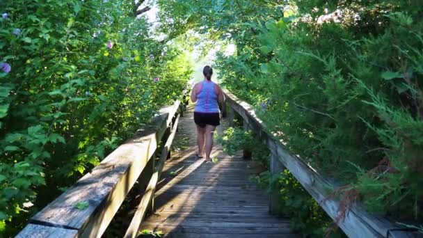 Woman Walking Sunny Wooden Bridge Outdoors Lovely Bright Sunny Day — Vídeo de Stock