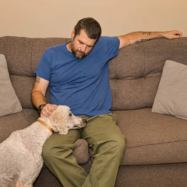 Rahatlamış Standart Kanişini okşayan ve kafasını dinlendiren bir adam..